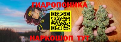 гашиш Обь